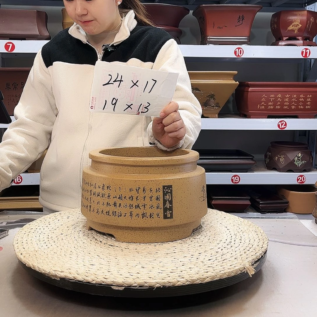紫砂花盆紫砂花盆里