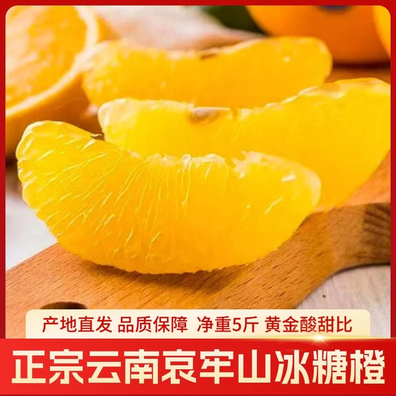 云南褚硕橙正宗褚氏励志冰糖橙花斑果当季新鲜水果春节礼盒装橙子