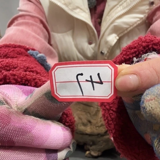 s*y紫砂啦打榜啦打榜啦打