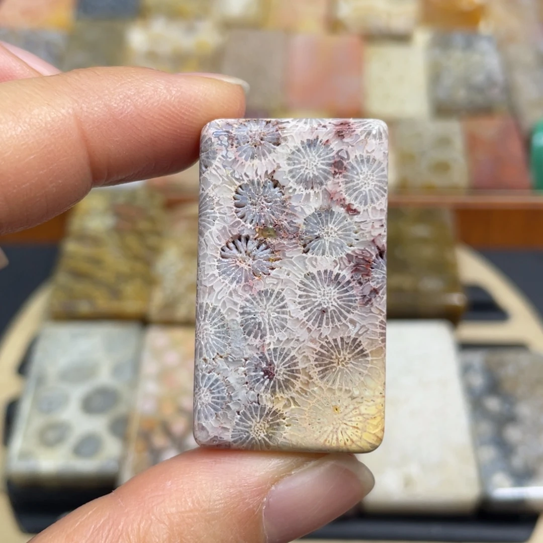 硅化玉未镶嵌颈饰k2