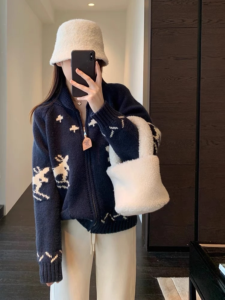 【201-300】25秋冬毛衫针织时尚宽松百搭网红开衫气质显瘦毛衣