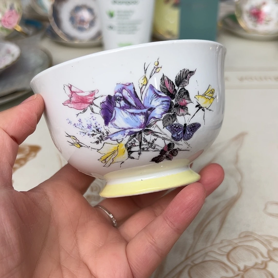 盘维多利亚欧洲中古