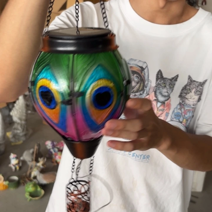 盖碗样品样品样品孔雀热气球