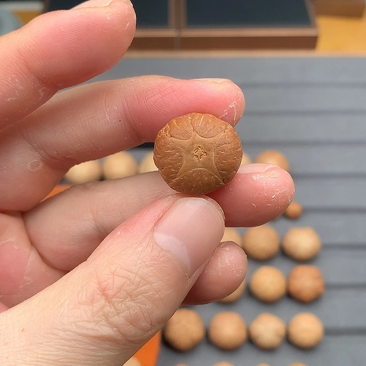 吊坠凤眼菩提19+五星，非质量问题开孔不退