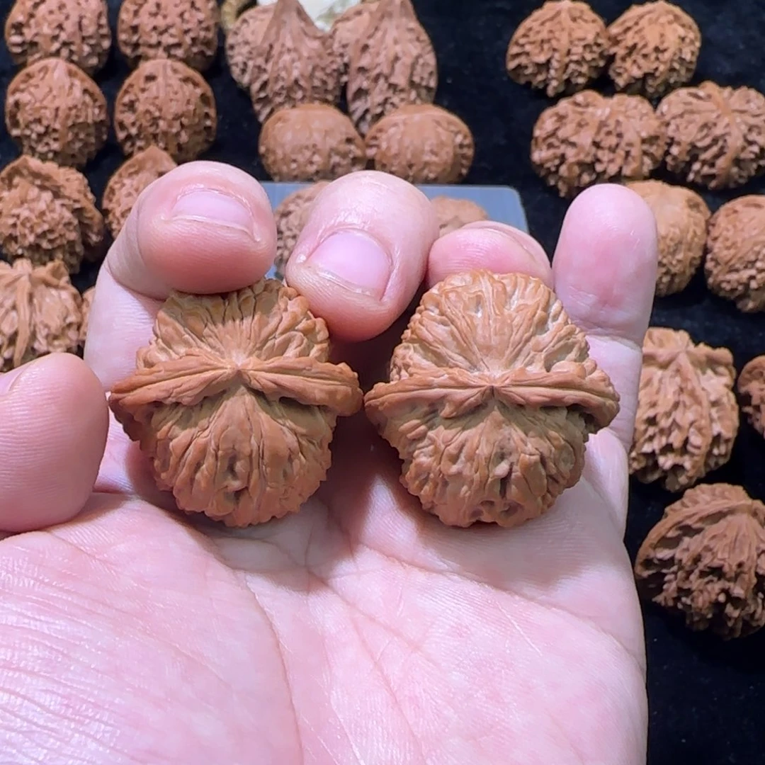 把件文玩核桃33白狮子