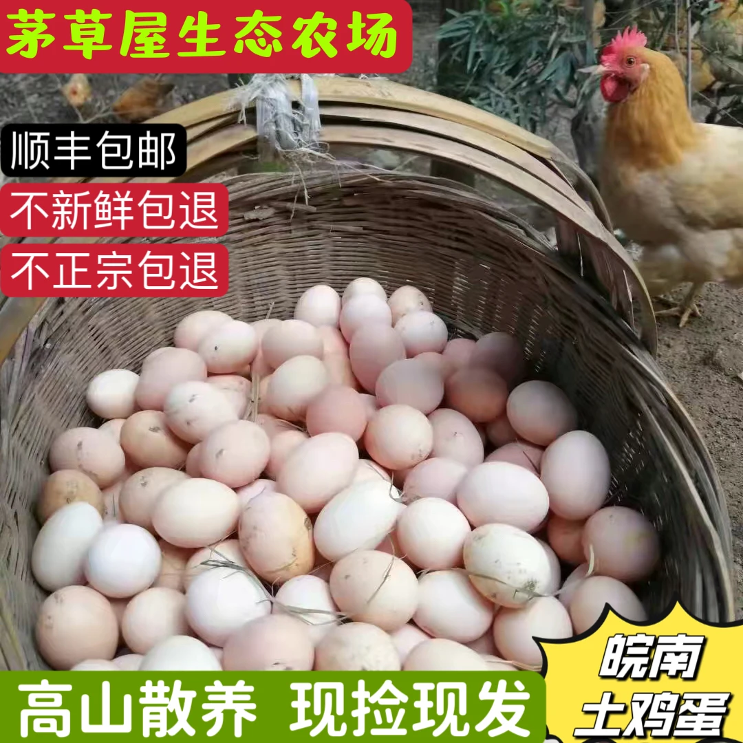 农家散养土鸡蛋新鲜农家草鸡蛋适合孕妇宝宝
