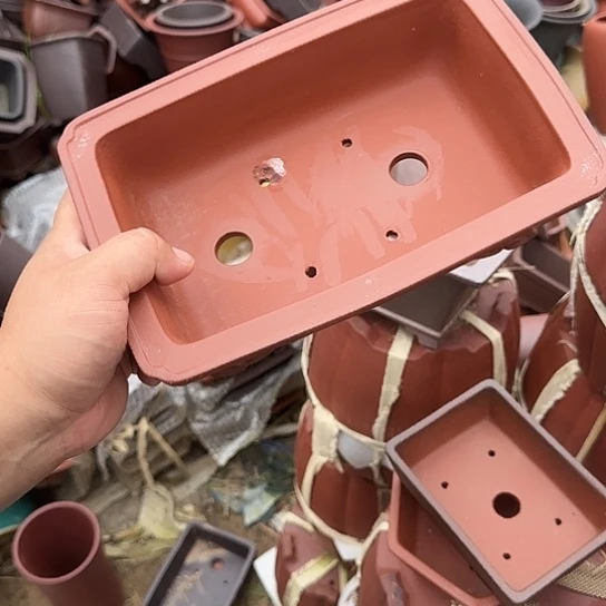 在这里可以看的了的是一片