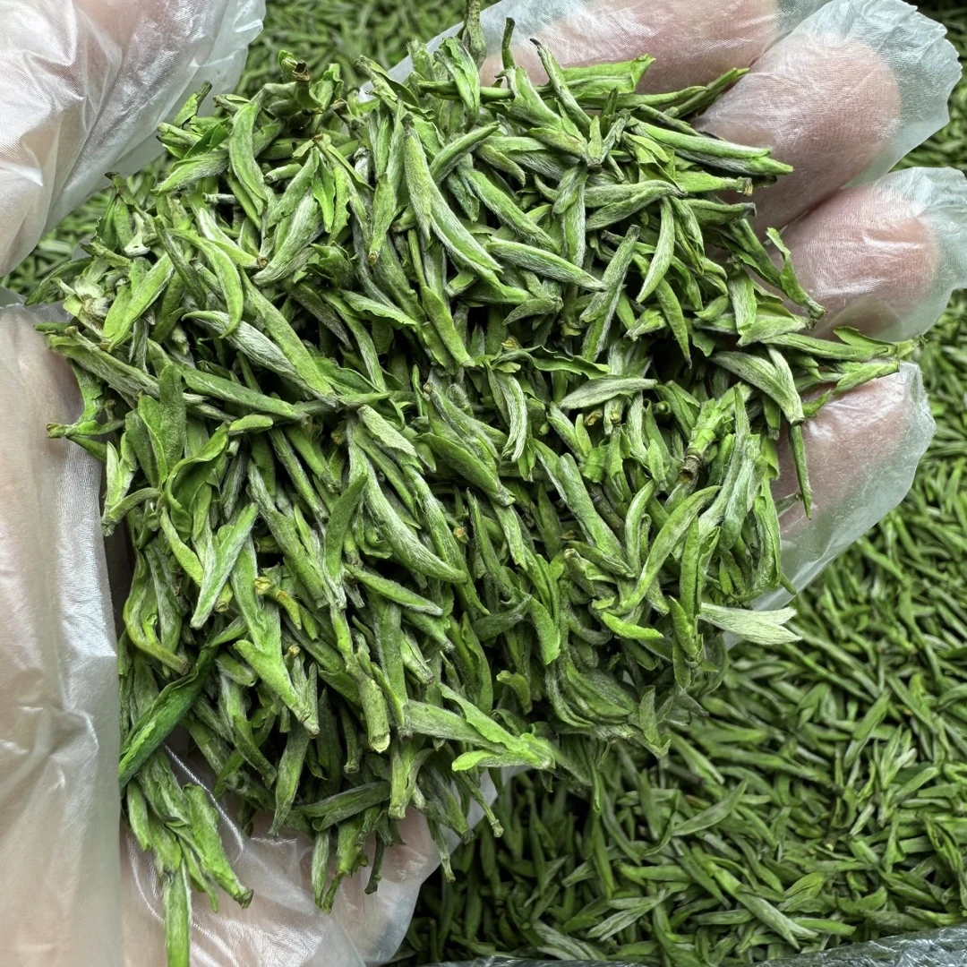 2024年明前茶黄山毛峰