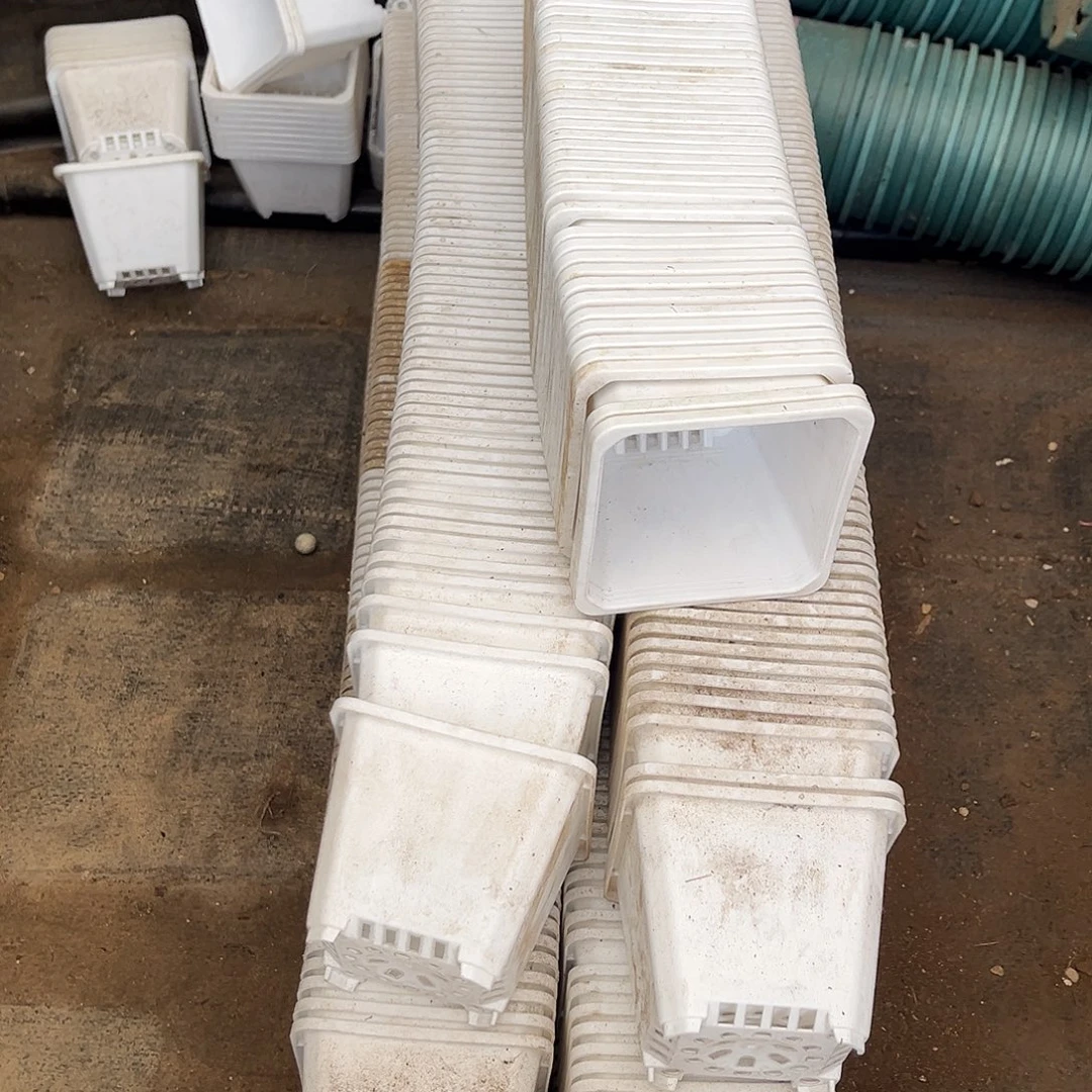 旧口径8.5高7白方盆30个