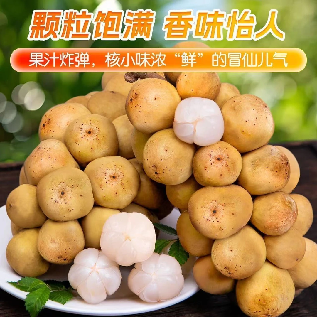 盛园祥特大颗龙宫果世界稀奇古怪水果果香果甜进口稀有水果5斤