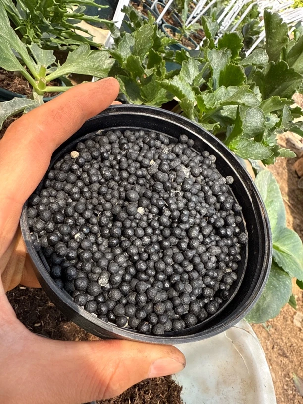 花卉通用肥500克