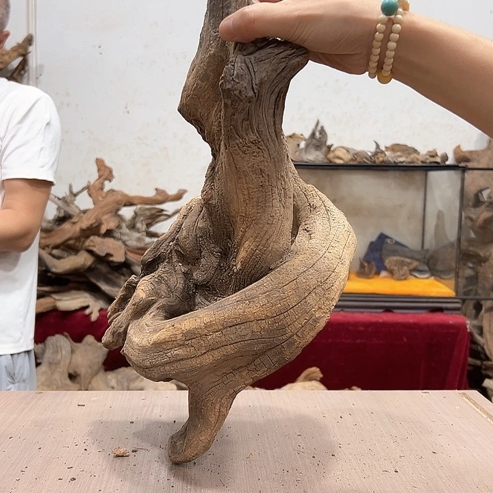 柏木用****4我们的生活也