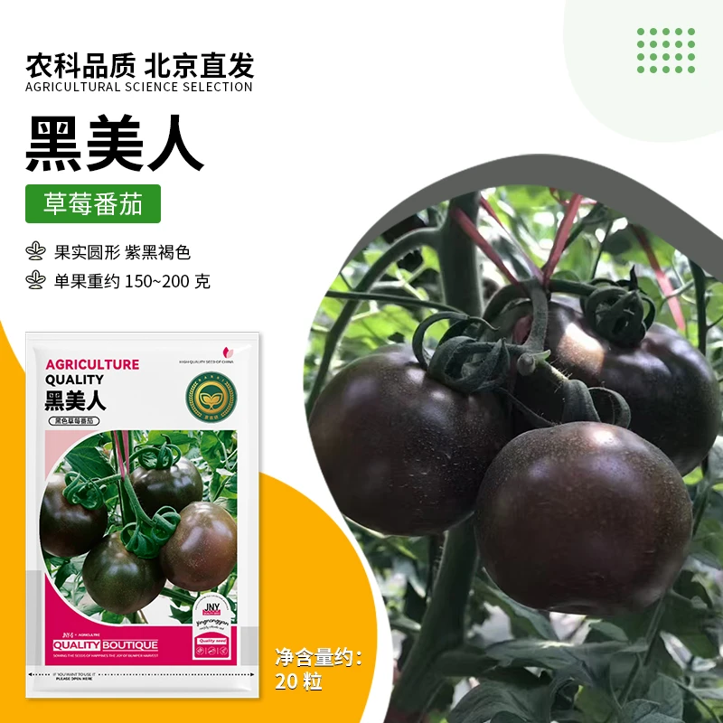 【农科院推荐】各种番茄种子水果西红柿草莓番茄铁皮柿子蔬菜种子