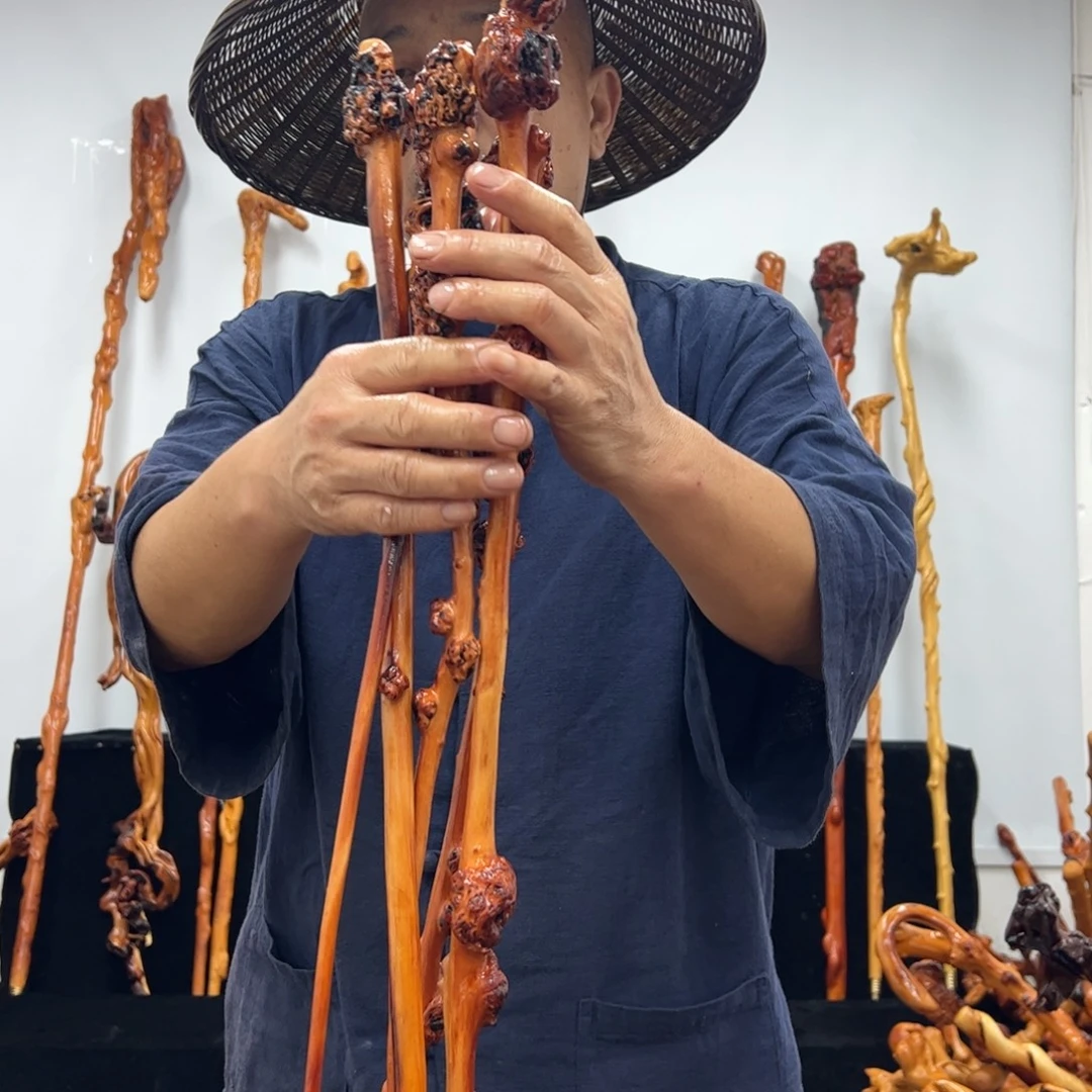 黑果木其他黑果木255