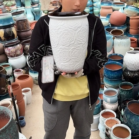 口20高31瑕疵一个盆。