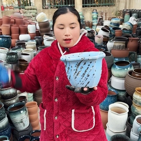 口21高15瑕疵盆子盆子。