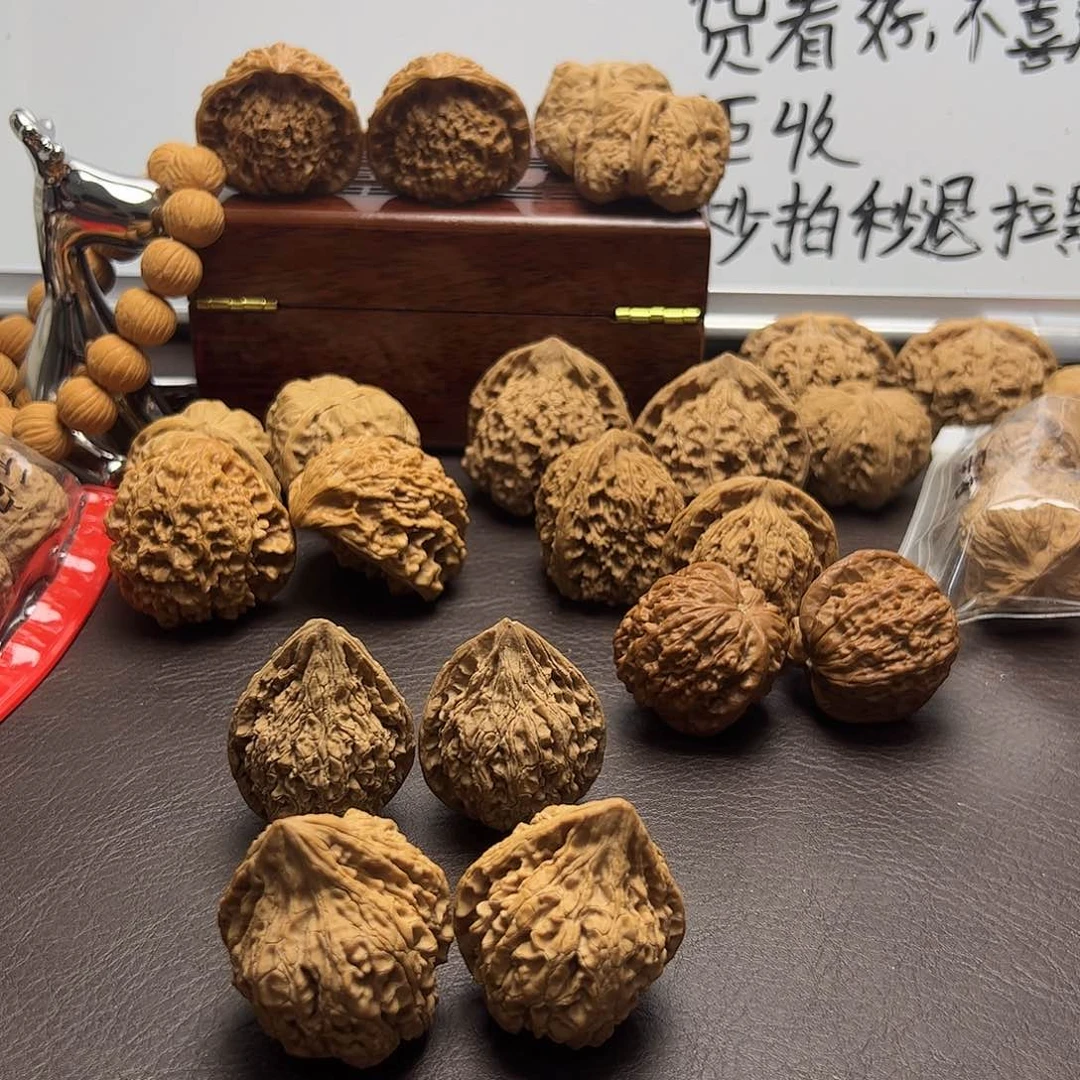 九哥哈哈哈哈哈哈哈哈哈哈哈