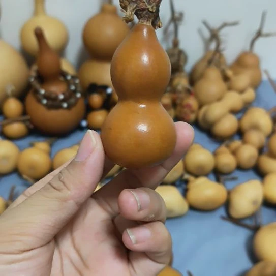 无暇纯天然葫芦直播间专用链接