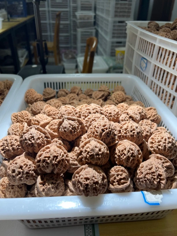 文玩核桃正杨宫灯通货链接随机发一对