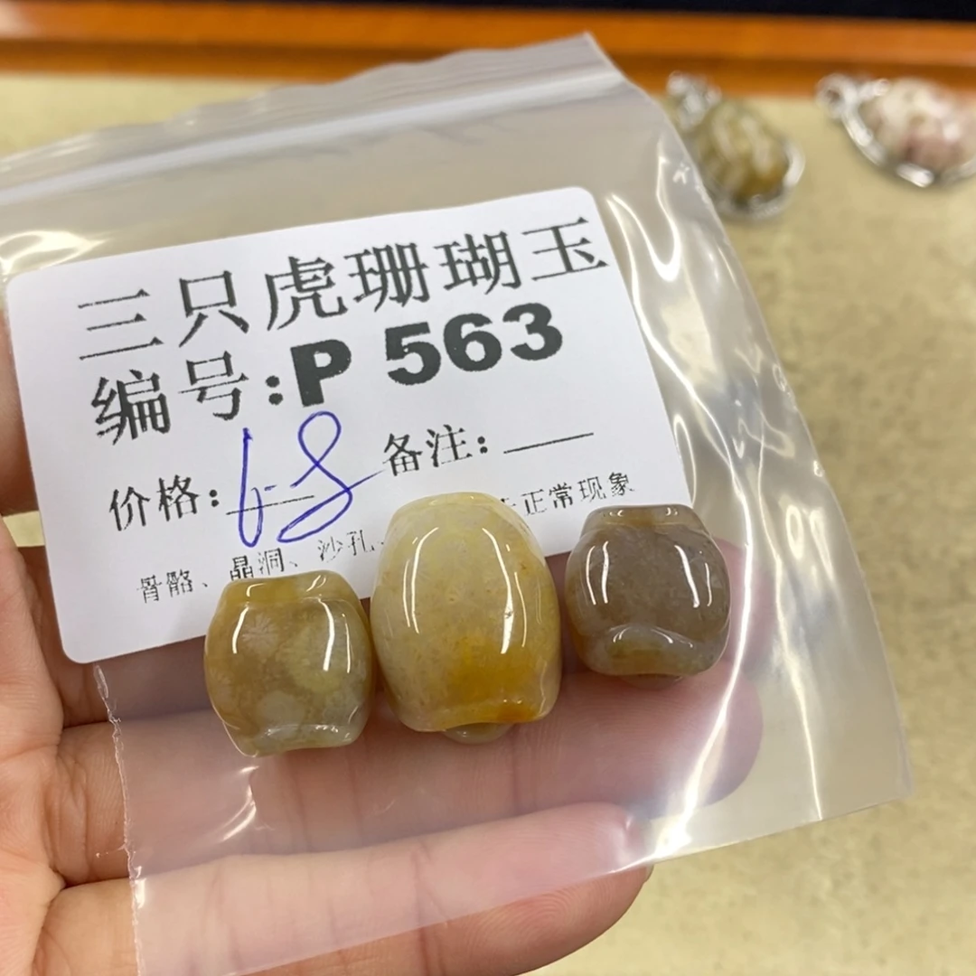 硅化珊瑚（珊瑚玉）1未镶嵌白*