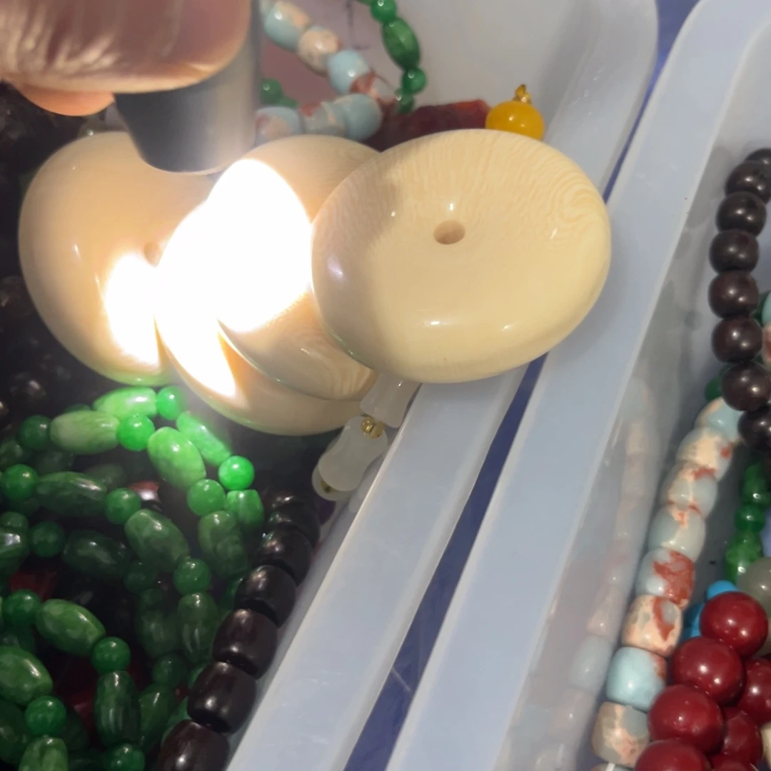 大果紫檀（缅甸花梨）