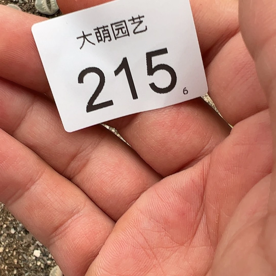 0000215 清框脱土发无售后……