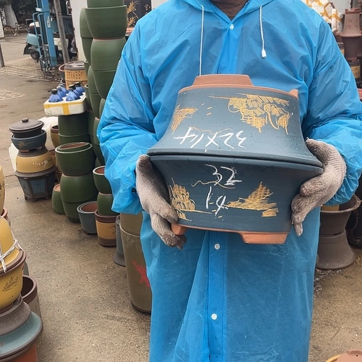 紫砂紫砂花盆和一条