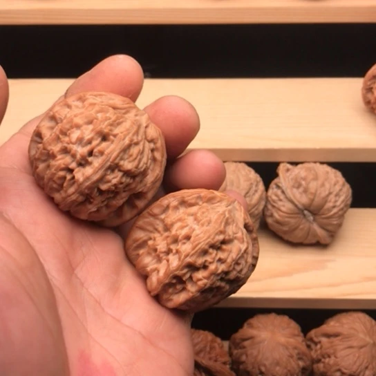 O***R全品无修43白狮子