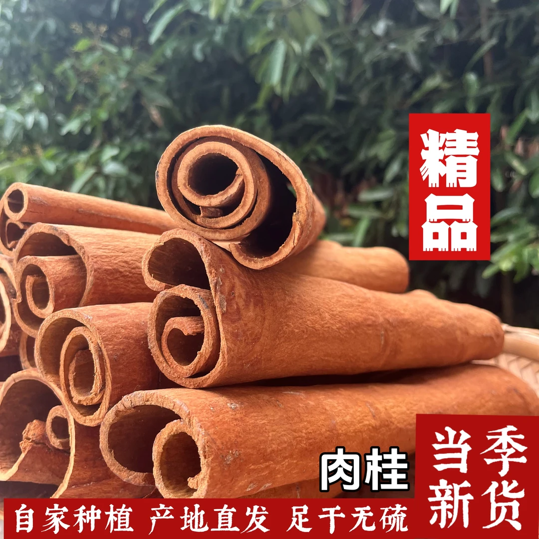 老树肉桂广西深山种植足干无硫炖卤煮炒香料调味剂