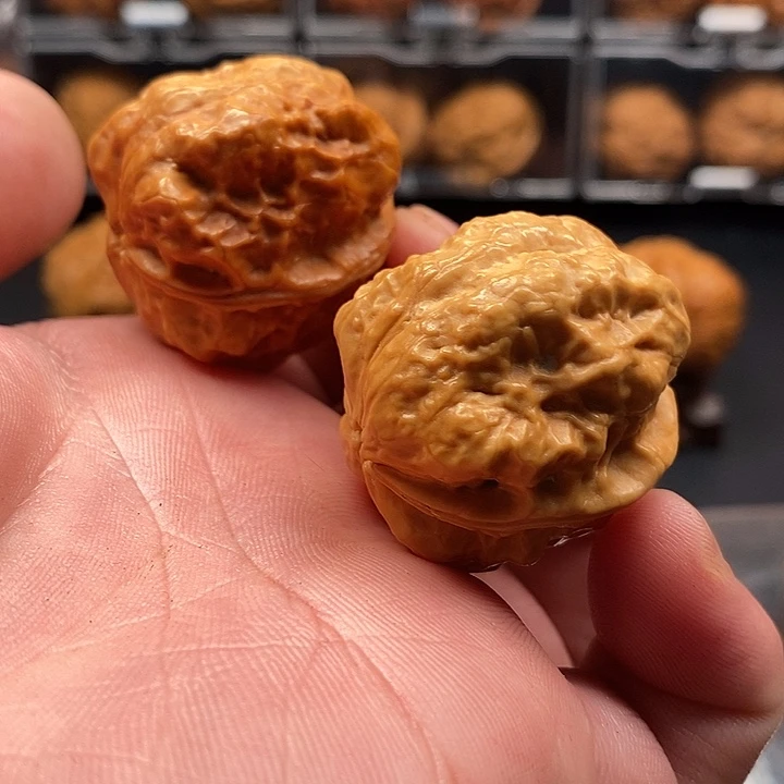 文玩核桃把件至尊妖蝉