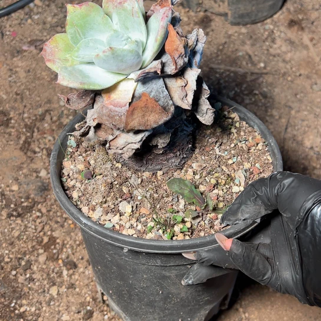 8542哈哈哈哈哈哈哈哈哈