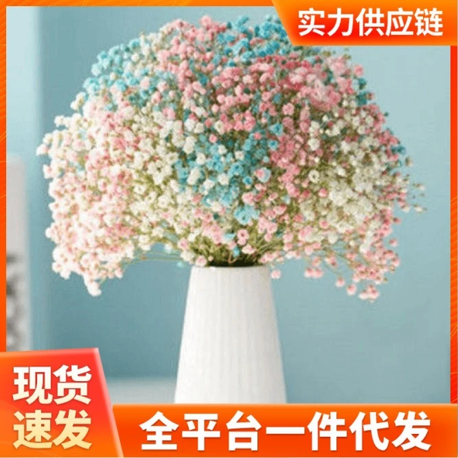 满天星干花花束小清新家摆设装饰客厅办公室摆件风干勿忘我代发