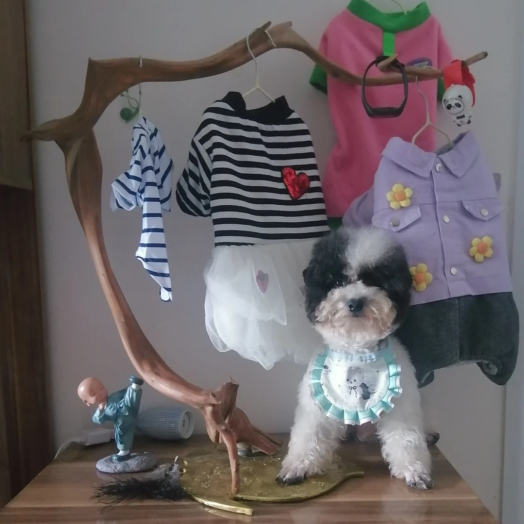 四季手作宠物犬猫咪气质可爱服饰