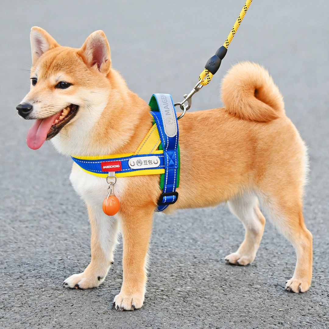 背心式狗狗牵引绳中小型犬柴犬柯基比熊可调节宠物胸背带遛狗绳子