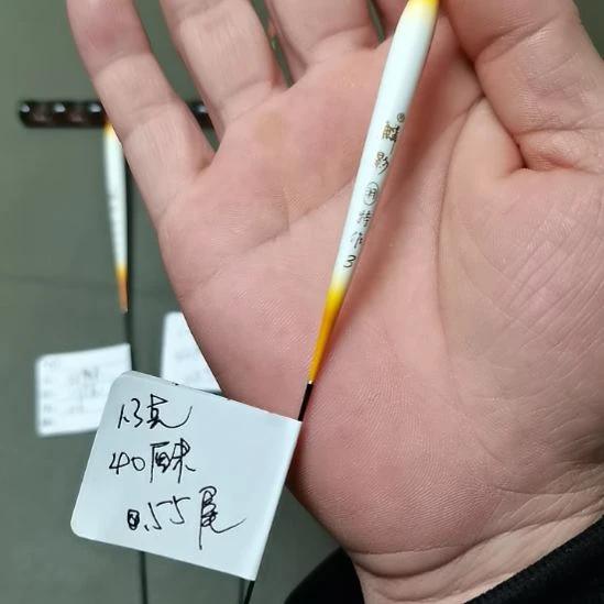 ****3孔雀羽鳞影带壳羽根一支1.3克