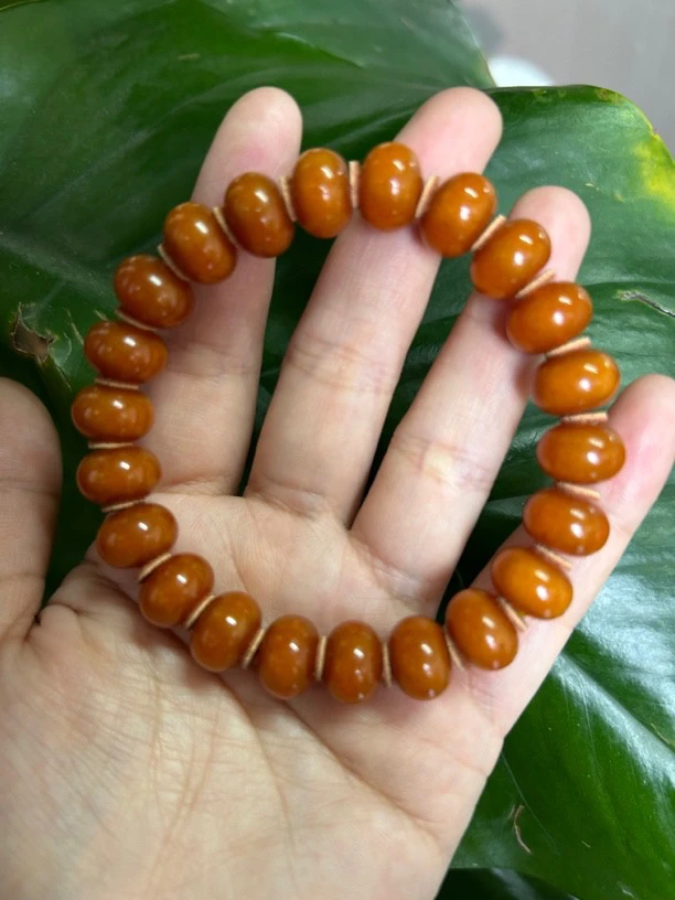 算盘珠多样性发其一