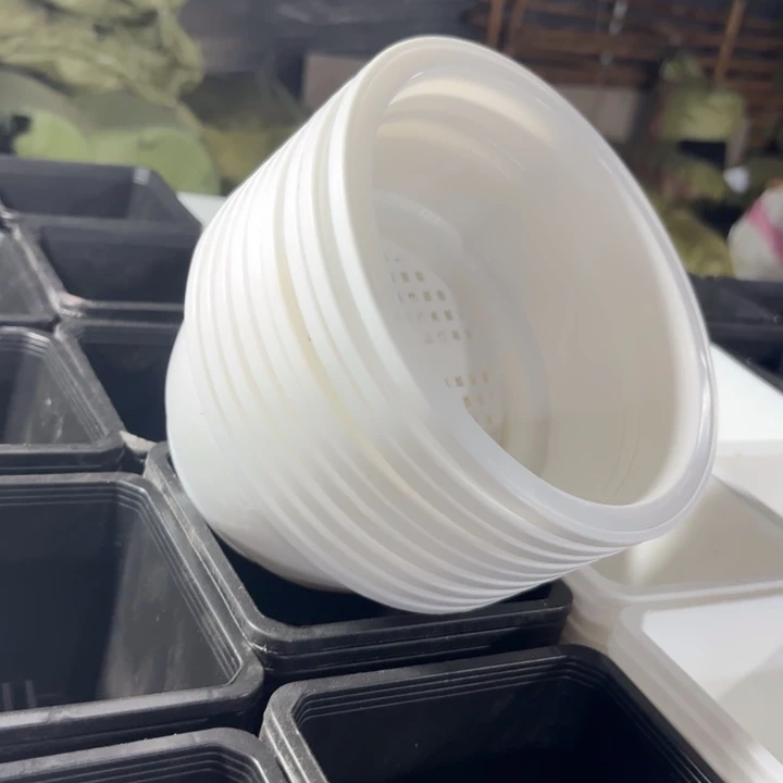 15公分白色韩盆10个