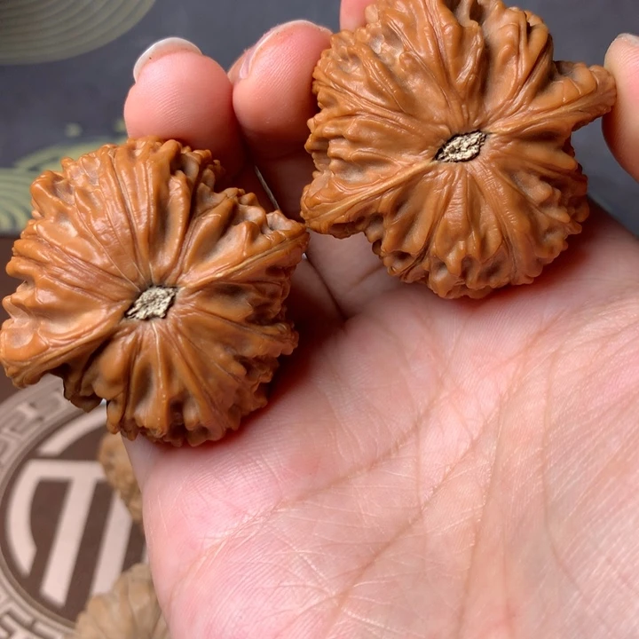 ༊****磨盘2支笔刷套装刷