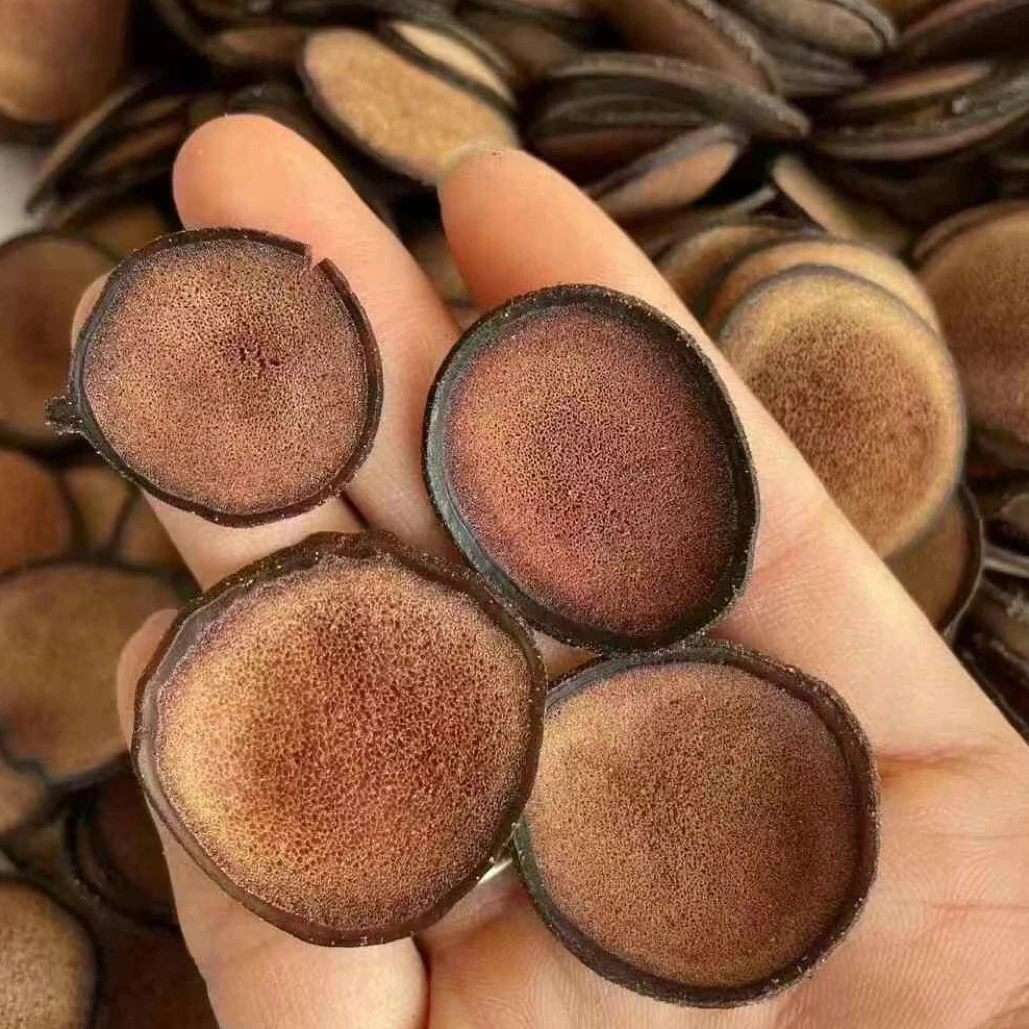 胶己食鹿茸粉片干货