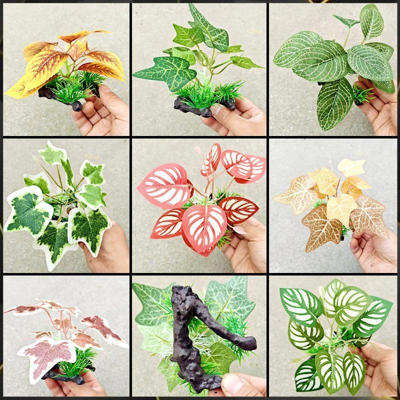 爬宠 造景植物躲避遮蔽物雨林爬虫箱沙漠造景绿植假植物蜘蛛蜥蜴