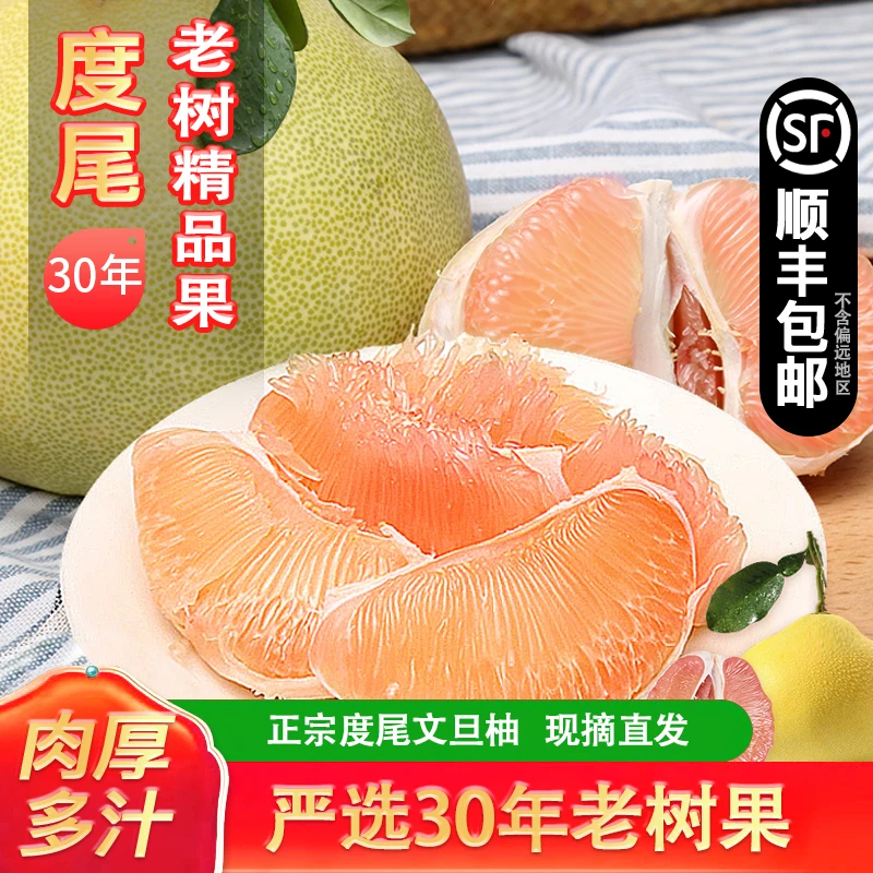 （敢做哥精选）正宗度尾文旦柚30年老树新鲜现摘