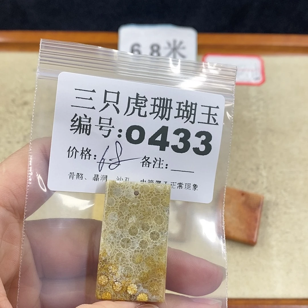硅化珊瑚（珊瑚玉）1未镶嵌晴***?