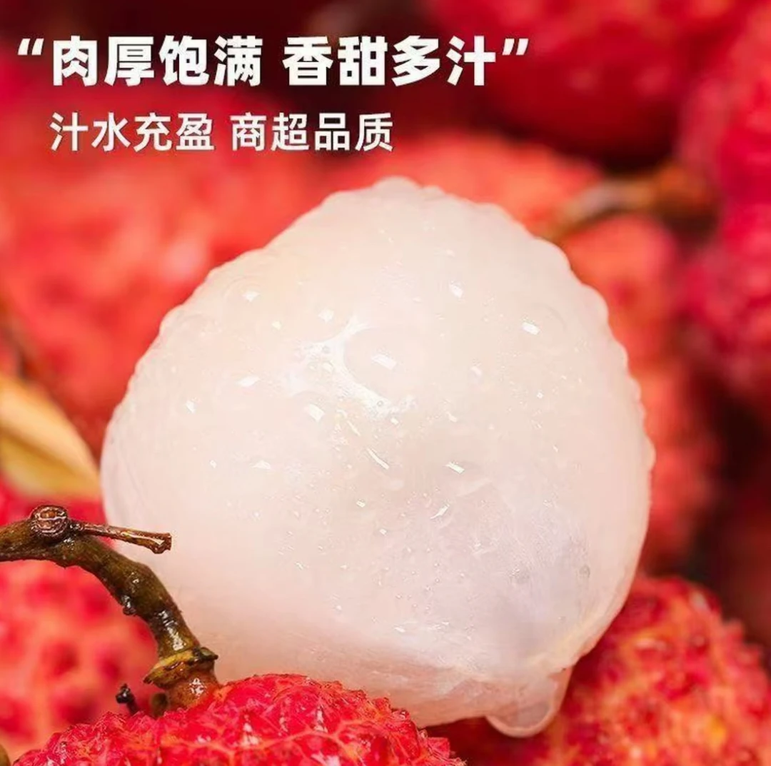 （京东／顺丰冷链）带小枝叶发货福建老树黑叶乌叶荔枝新鲜5斤Jay