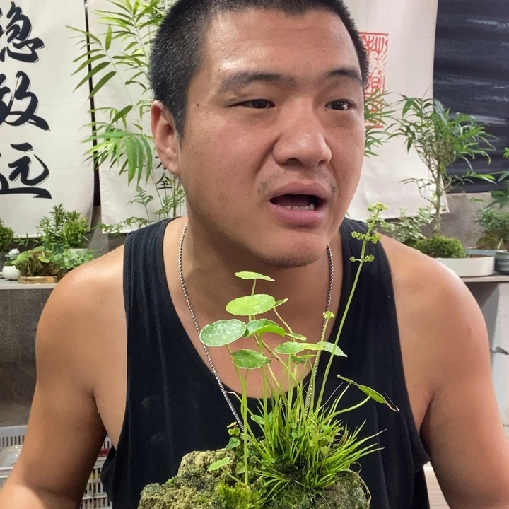 自***行无花朵退款拉黑拉黑239