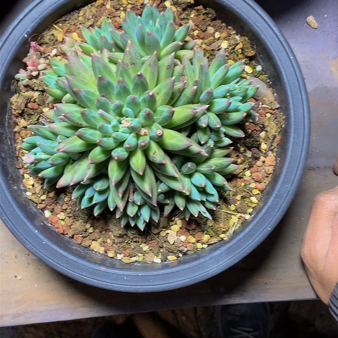 海*源哈哈哈哈哈哈哈哈哈哈