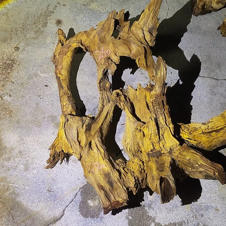 楠木（金丝楠）其他?****?