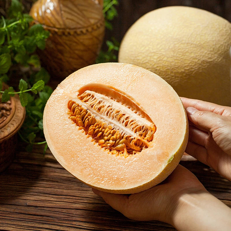 【新疆吐鲁番直发】金色年华哈密瓜现摘现发应季新鲜脆甜多汁水果