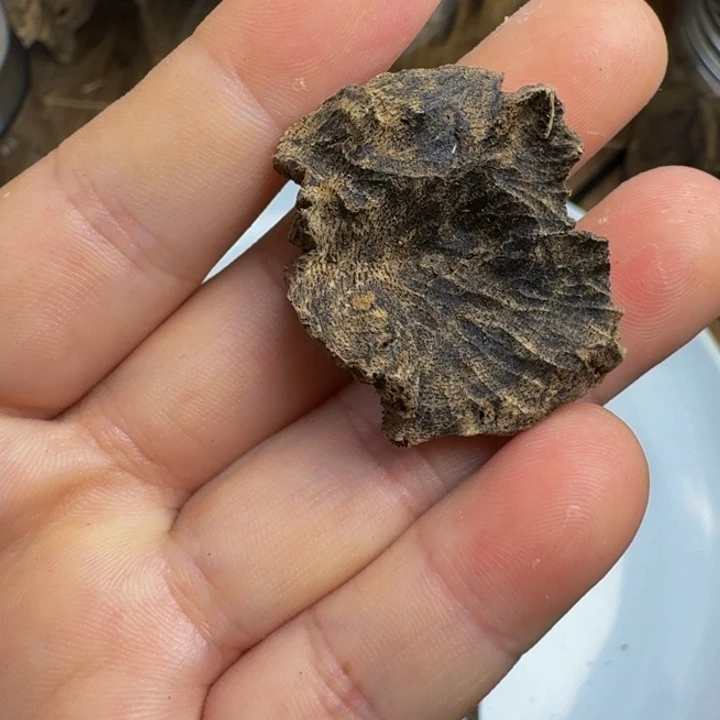 沉香碎屑沉香海南淳化老料
