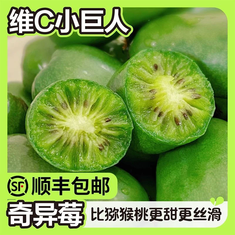 【顺丰包邮】东北软枣猕猴桃奇异莓软枣子龙城2号现摘现发放软了吃