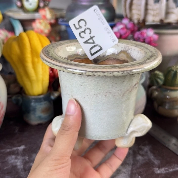 重庆小燕子欢迎大家435